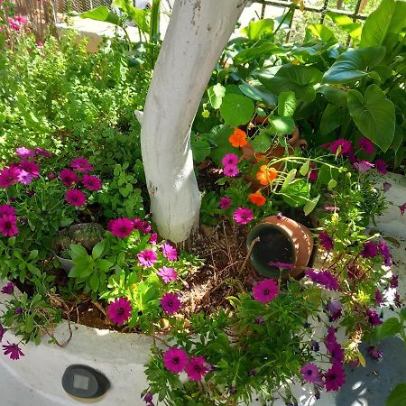 Studio In Garden Poros Town Extérieur photo