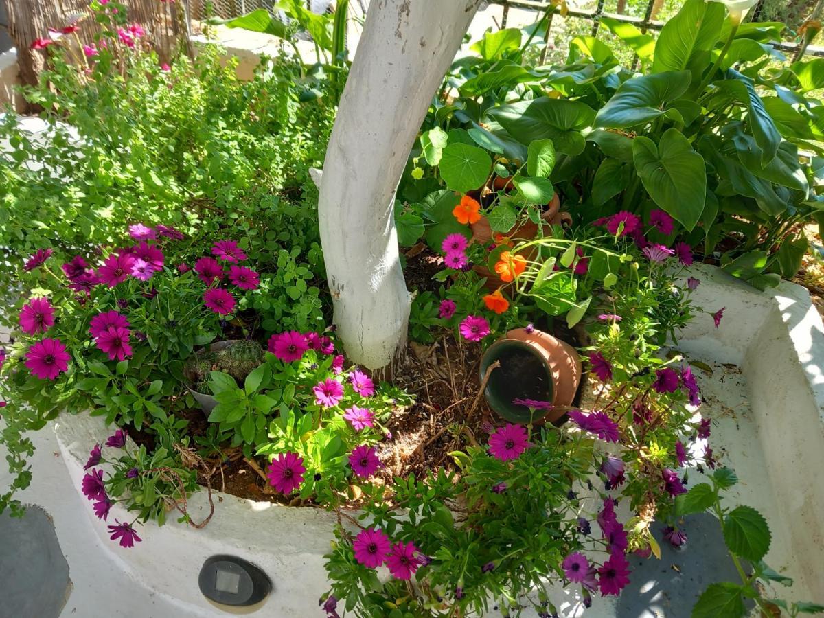 Studio In Garden Poros Town Extérieur photo